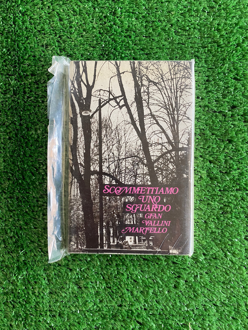 Libro - Scommettiamo uno sguardo - Gian Vallini Martello #L109