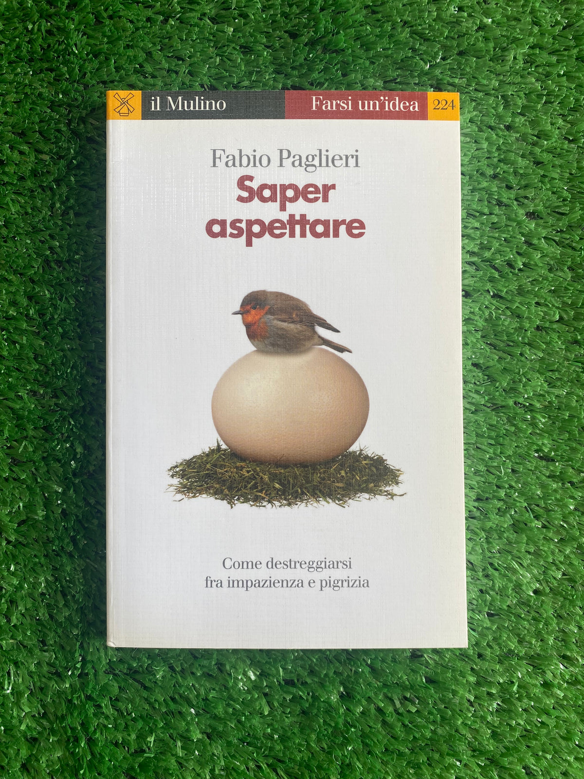 Libro - Fabio Paglieri - Saper aspettare (Il Mulino - Farsi un'idea) #L60