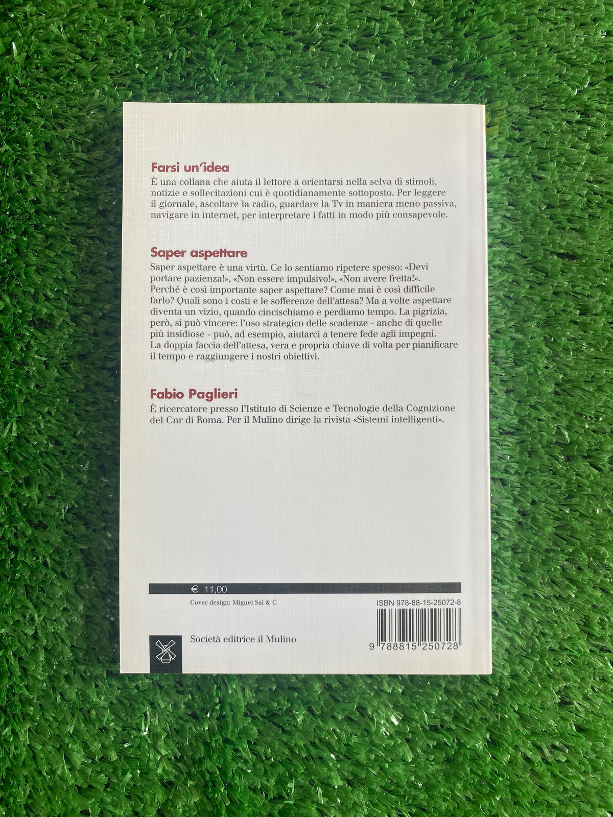 Libro - Fabio Paglieri - Saper aspettare (Il Mulino - Farsi un'idea) #L60