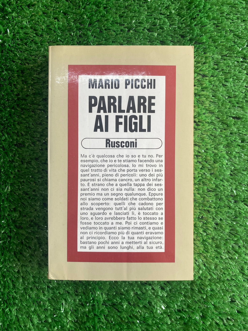 Libro - Mario Picchi - Parlare ai figli (Rusconi Vintage) #L59