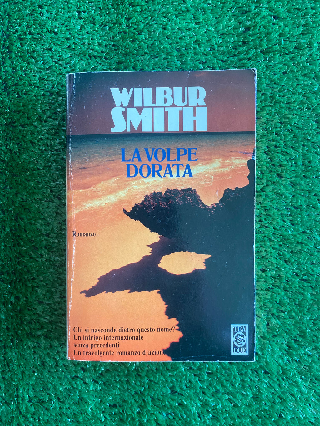 Libro - La volpe dorata - Wilbur Smith #L32