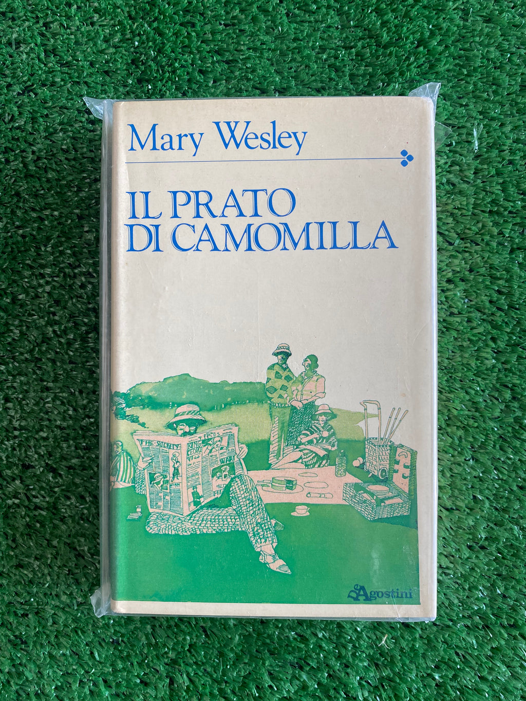 Libro - Il prato di camomilla - Mary Wesley (De Agostini) #L136