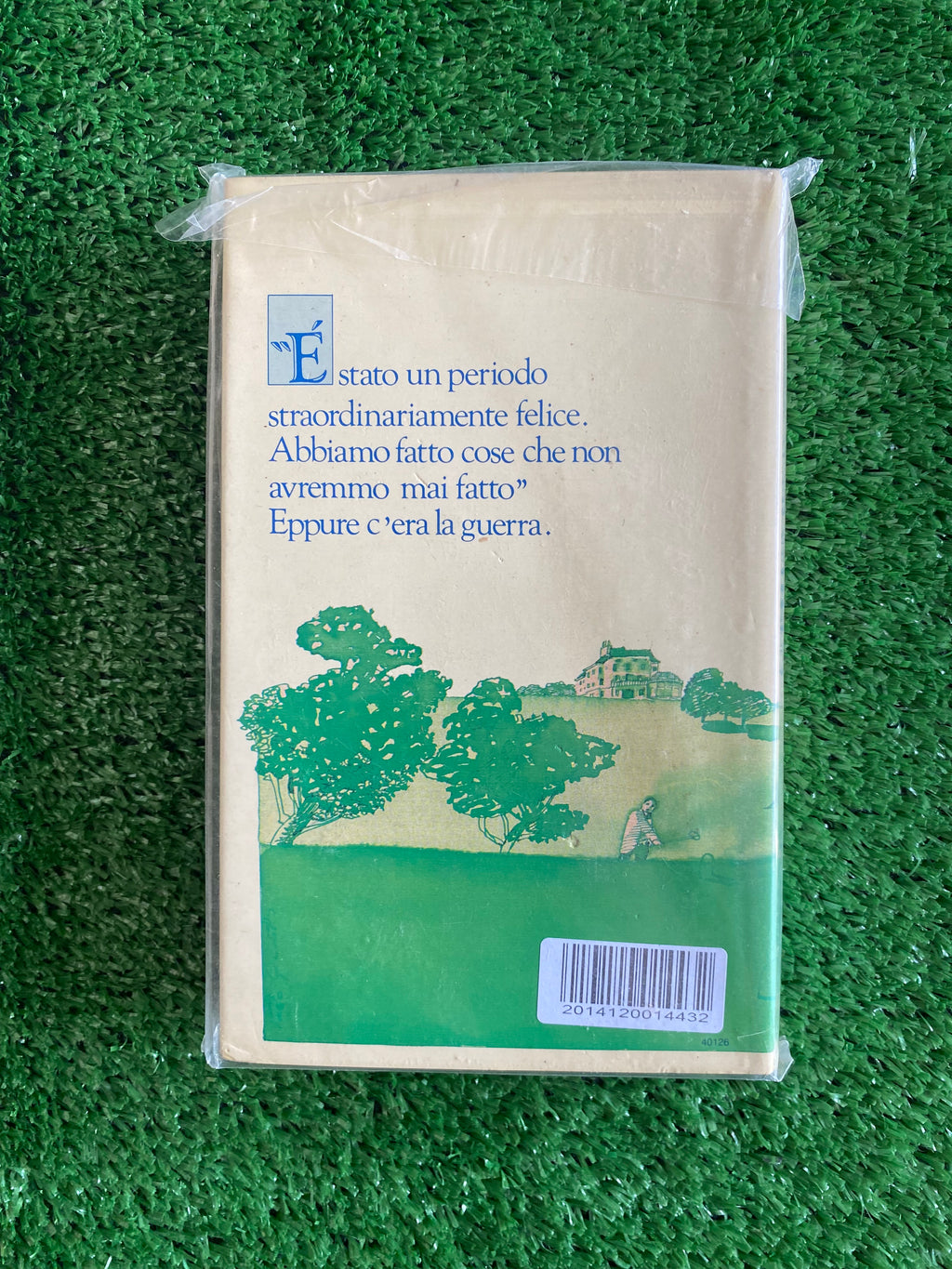 Libro - Il prato di camomilla - Mary Wesley (De Agostini) #L136