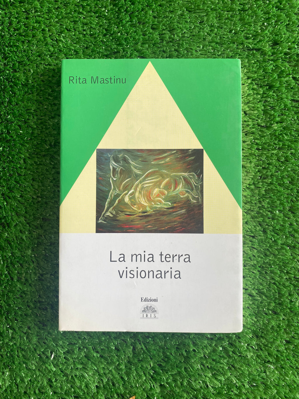 Libro - La mia terra visionaria - Rita Mastinu (Edizioni Iris) #L83