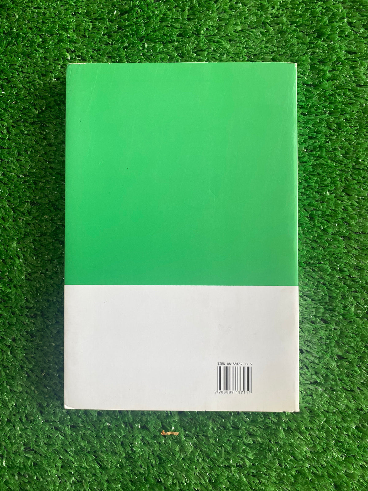 Libro - La mia terra visionaria - Rita Mastinu (Edizioni Iris) #L83