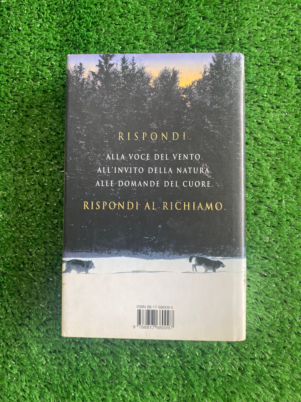 Libro - Insieme con i lupi - Nicholas Evans (Rizzoli) #L80